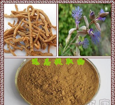 厂家直销远志提取物30:1 天然中药材萃取物的价格、厂家与产品优势解析