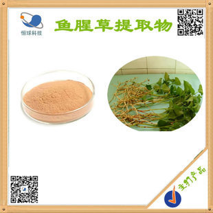 高品质野生鱼腥草提取物 天然植物提取的选择之道