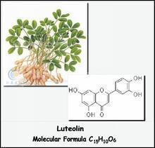 胶囊壳采购需求发布 大量求购废胶囊壳，用于植物提取物生产