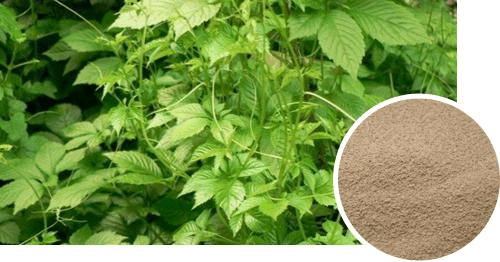 中农牧糖萜素 新一代植物提取物饲料添加剂，助力中兽药替代抗生素